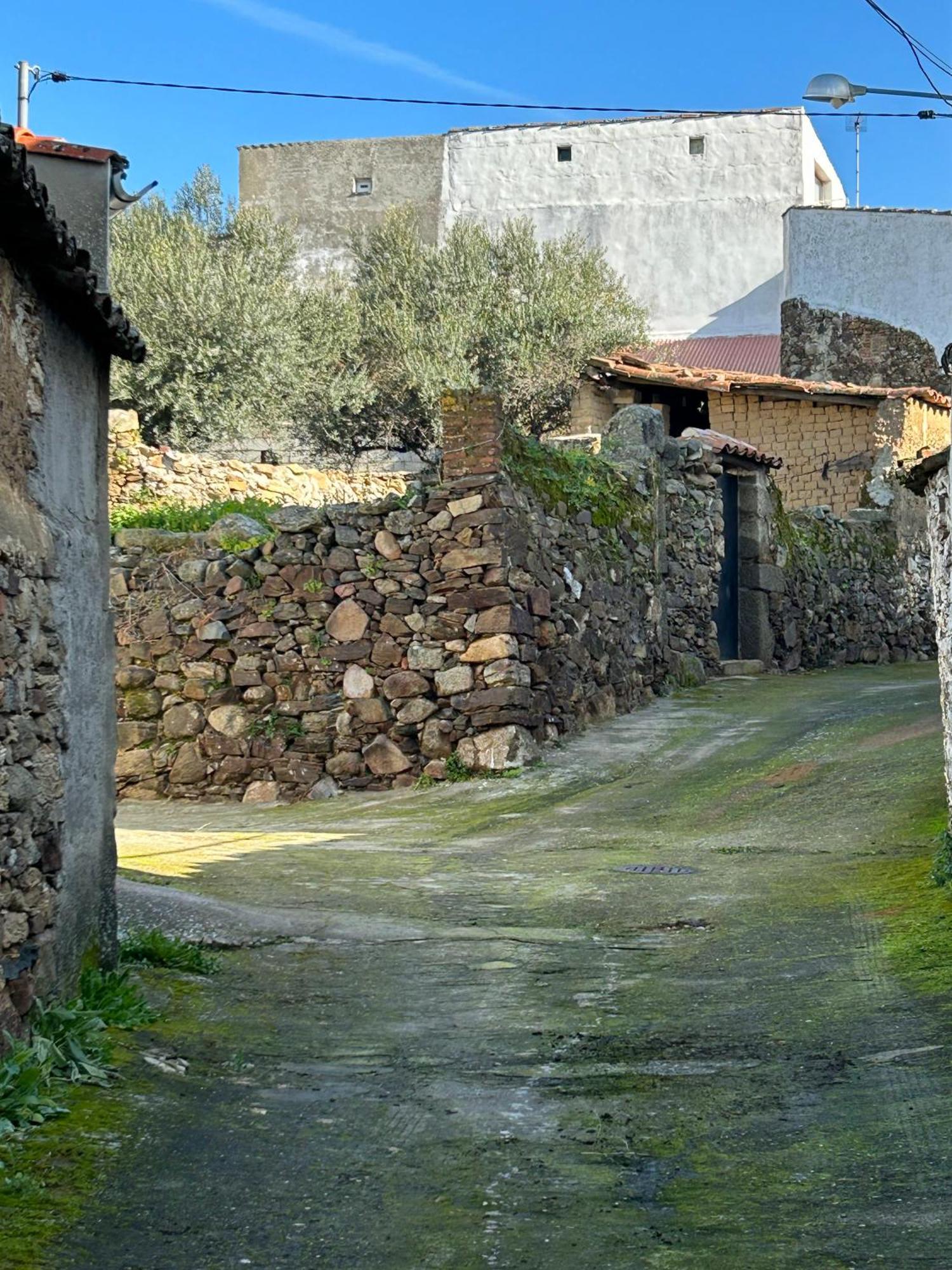 Casa Rural La Manzanilla Salvatierra de Santiago Buitenkant foto